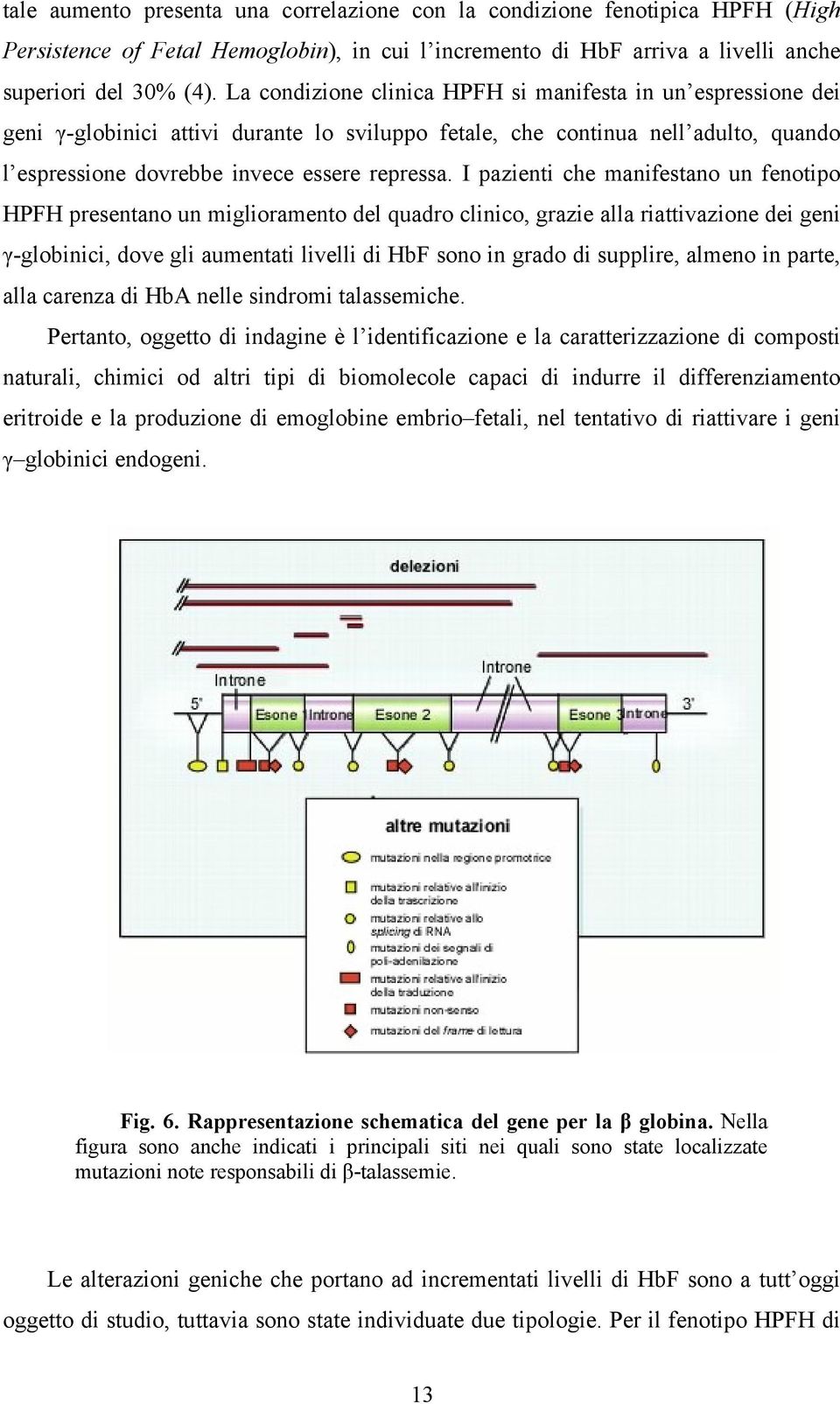 I pazienti che manifestano un fenotipo HPFH presentano un miglioramento del quadro clinico, grazie alla riattivazione dei geni γ-globinici, dove gli aumentati livelli di HbF sono in grado di