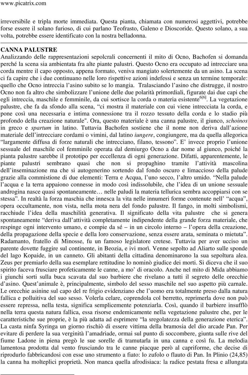 CANNA PALUSTRE Analizzando delle rappresentazioni sepolcrali concernenti il mito di Ocno, Bachofen si domanda perché la scena sia ambientata fra alte piante palustri.