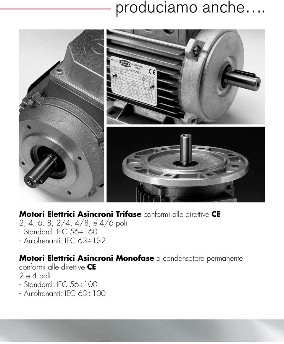 2/4, 4/8, e 4/6 poli - Standard: IEC 56 160 - Autofrenanti: IEC 63 132 Motori