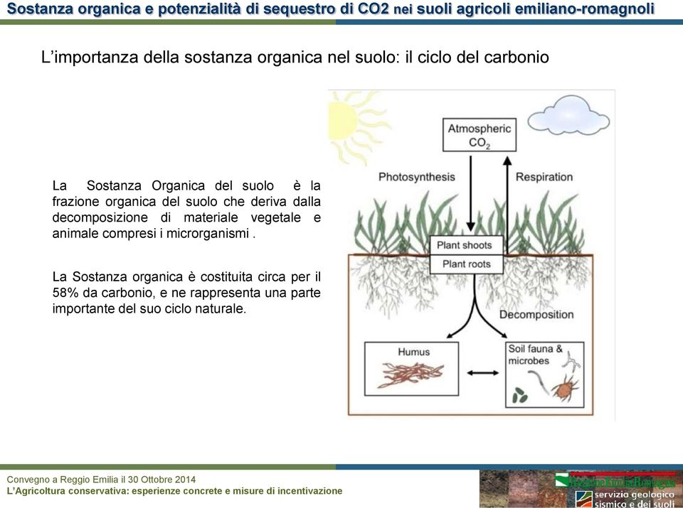 materiale vegetale e animale compresi i microrganismi.