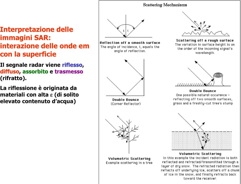 diffuso, assorbito e trasmesso (rifratto).