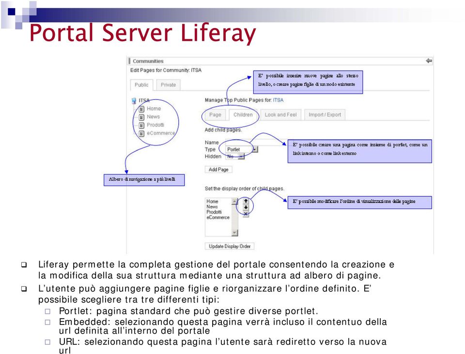 E possibile scegliere tra tre differenti tipi: Portlet: pagina standard che può gestire diverse portlet.