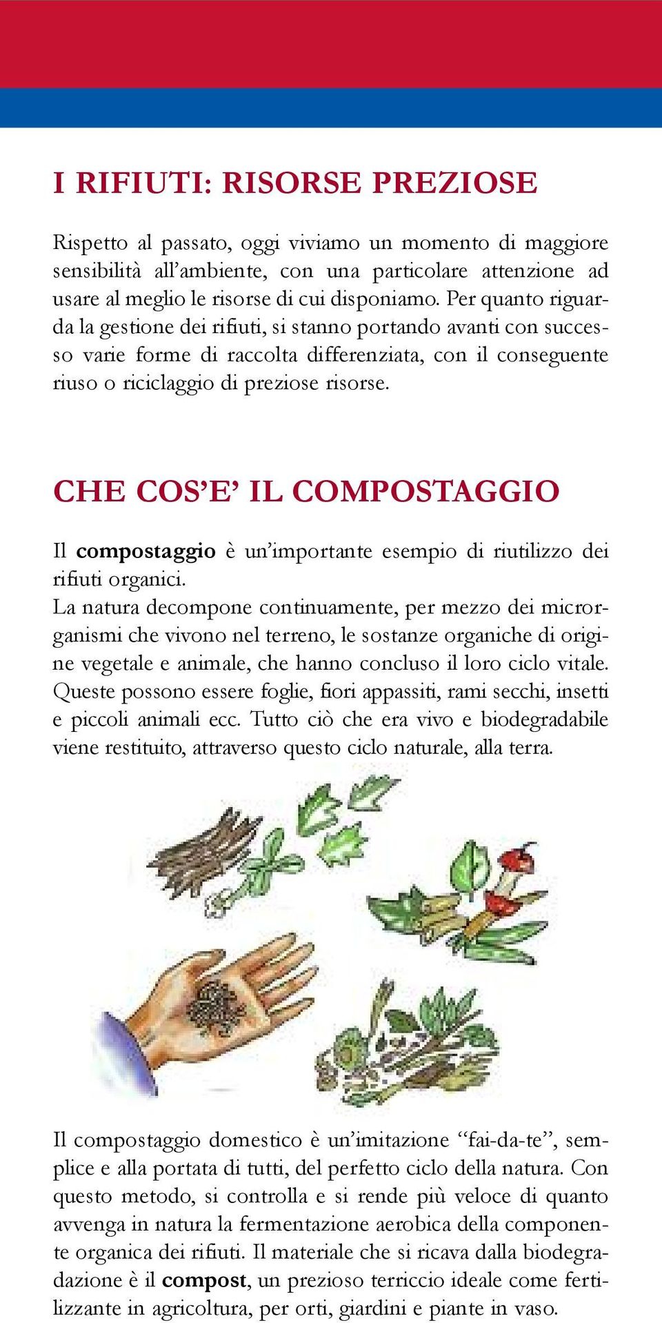 CHE COS E IL COMPOSTAGGIO Il compostaggio è un importante esempio di riutilizzo dei rifiuti organici.