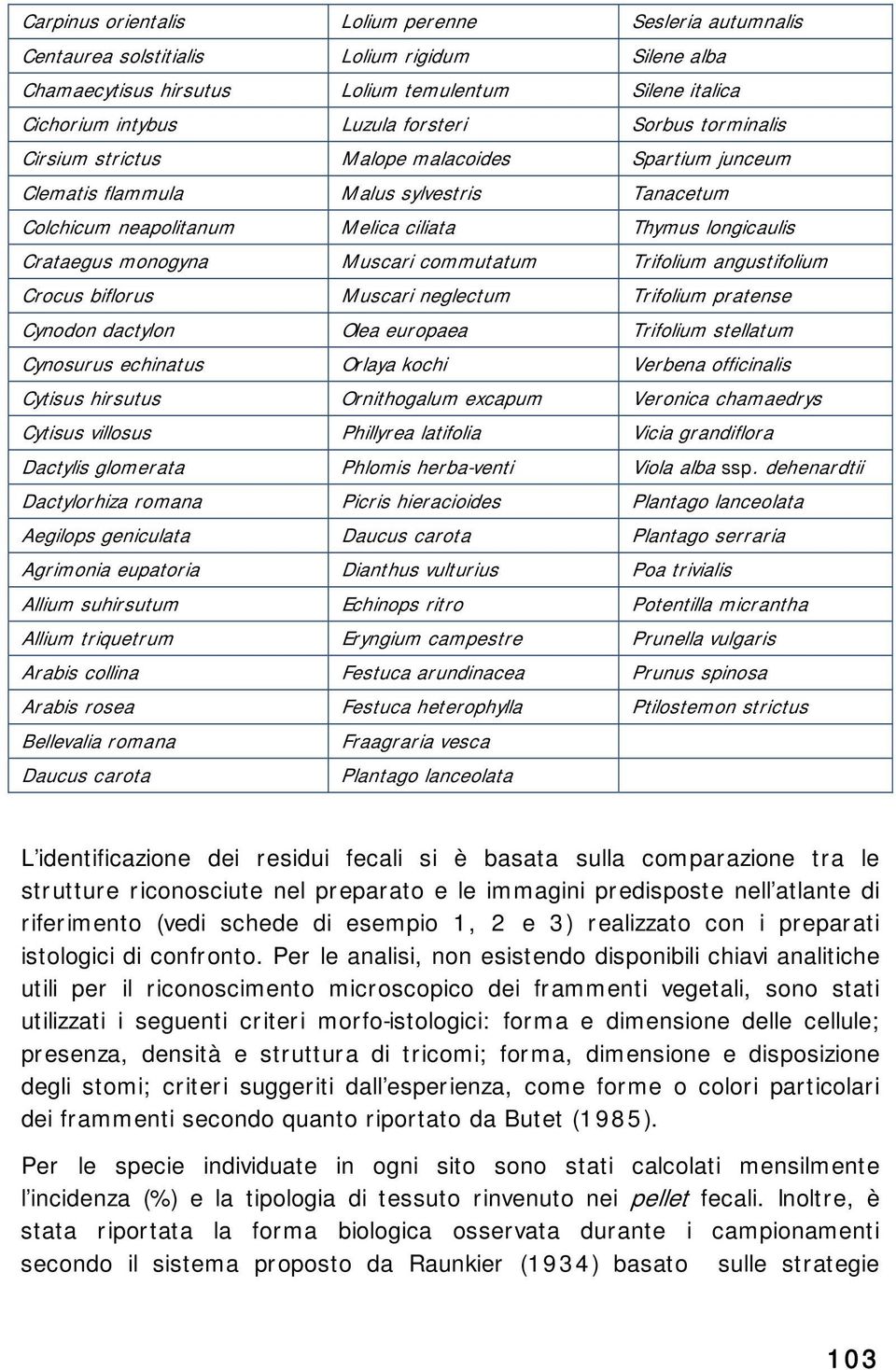 commutatum Trifolium angustifolium Crocus biflorus Muscari neglectum Trifolium pratense Cynodon dactylon Olea europaea Trifolium stellatum Cynosurus echinatus Orlaya kochi Verbena officinalis Cytisus