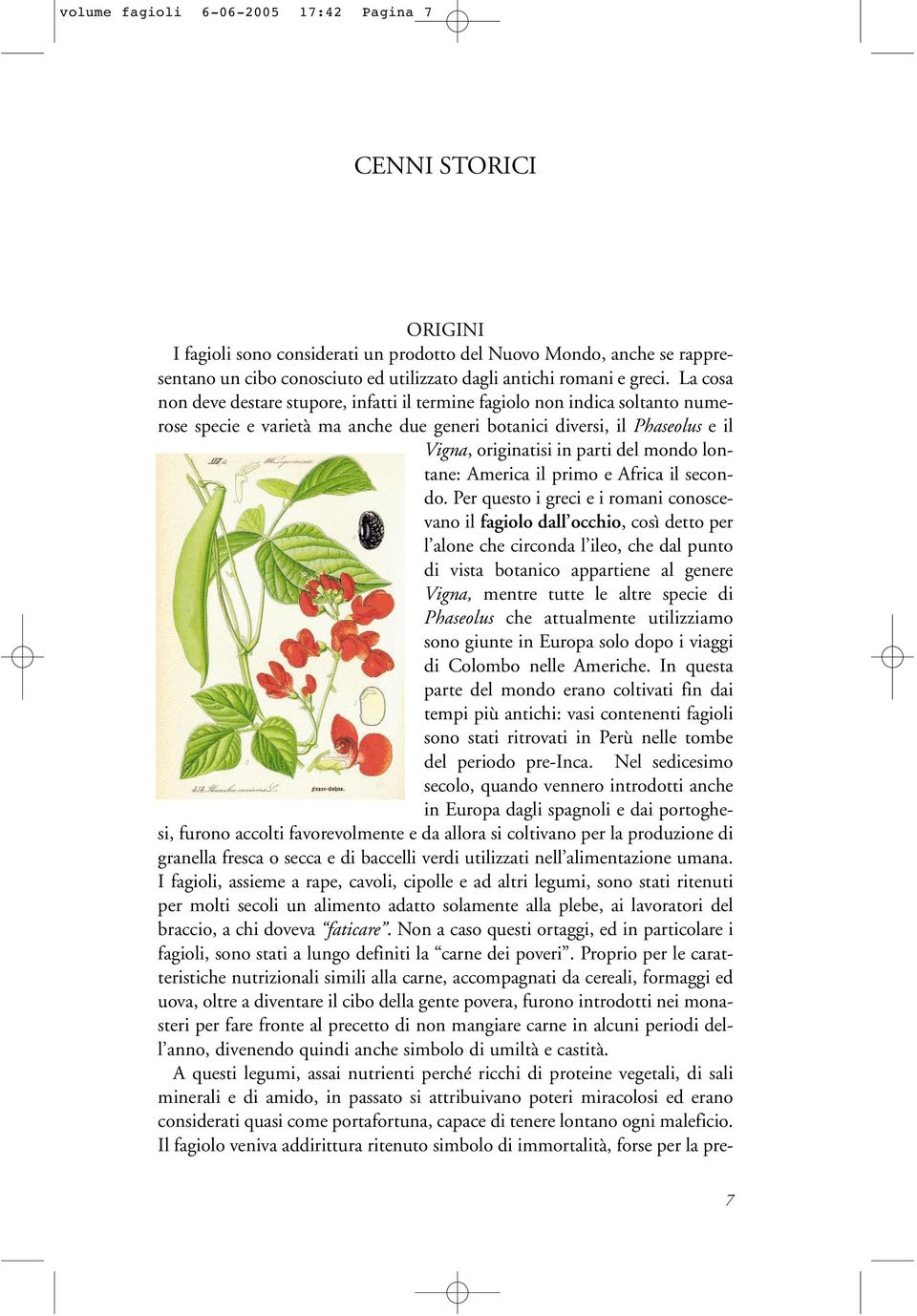 La cosa non deve destare stupore, infatti il termine fagiolo non indica soltanto numerose specie e varietà ma anche due generi botanici diversi, il Phaseolus e il Vigna, originatisi in parti del