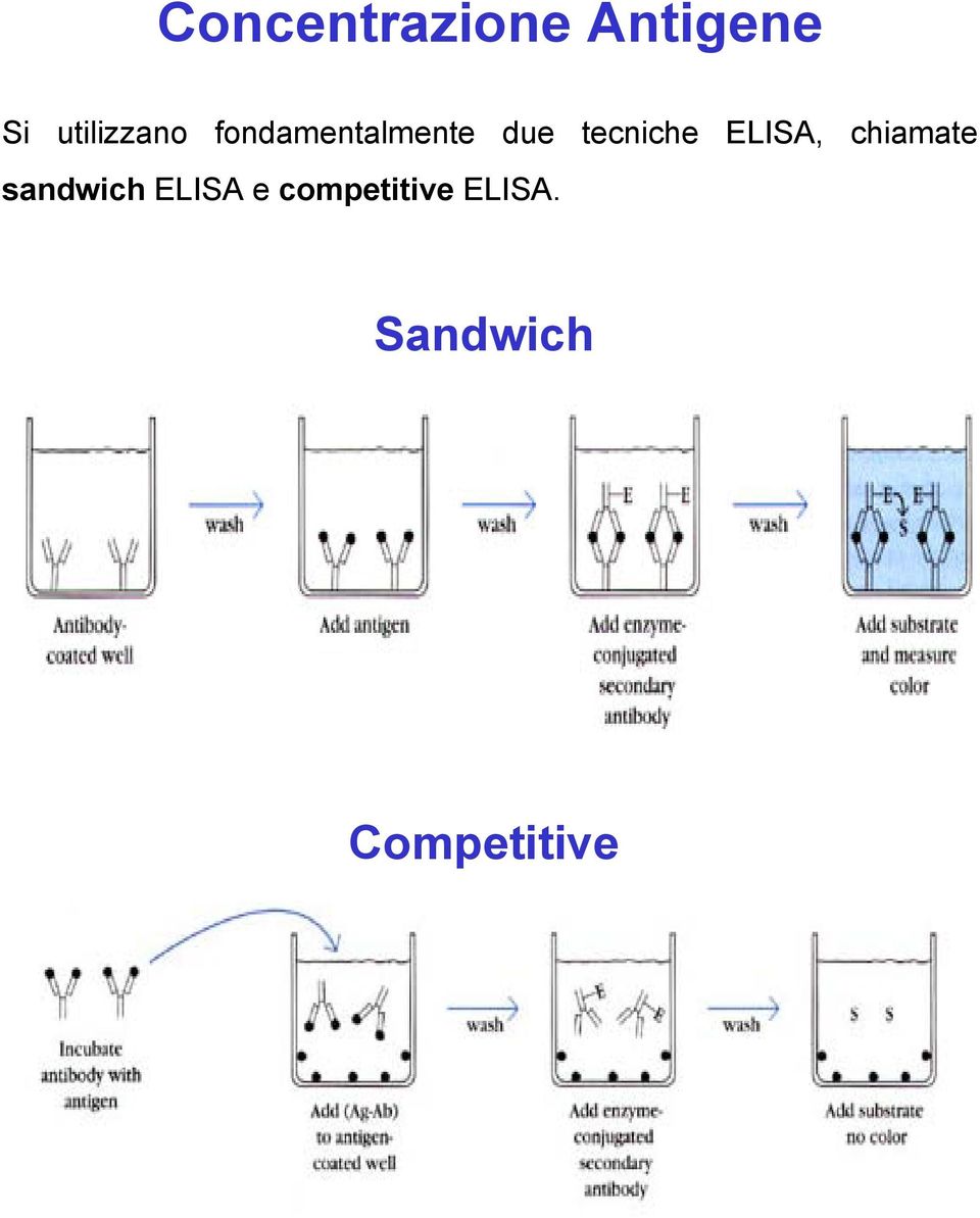 tecniche ELISA, chiamate sandwich