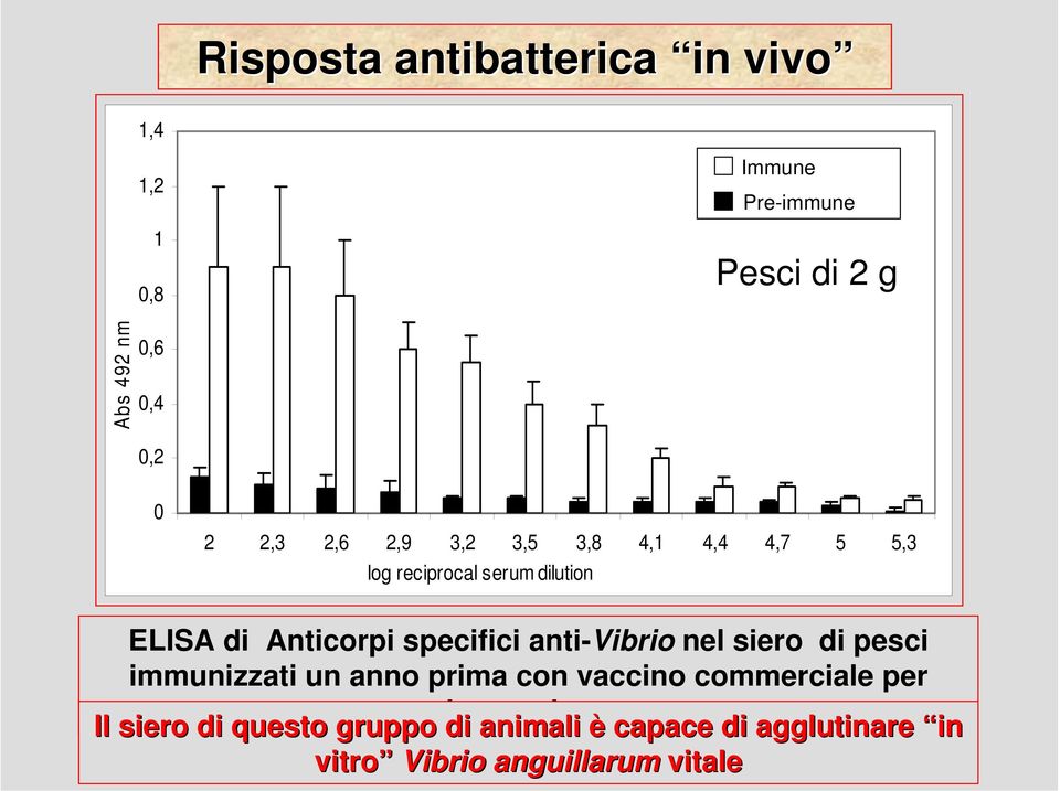 anti-vibrio nel siero di pesci immunizzati un anno prima con vaccino commerciale per Il