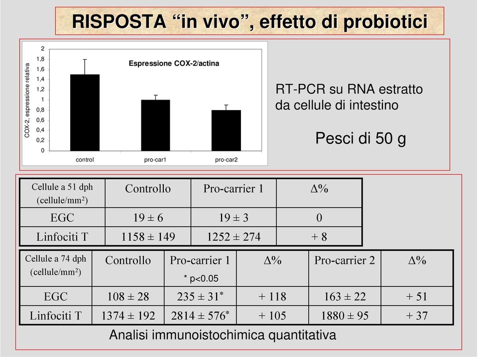 19 ± 6 19 ± 3 Linfociti T 1158 ± 149 1252 ± 274 + 8 Cellule a 74 dph (cellule/mm 2 ) Controllo Pro-carrier 1 % Pro-carrier 2 * p<.