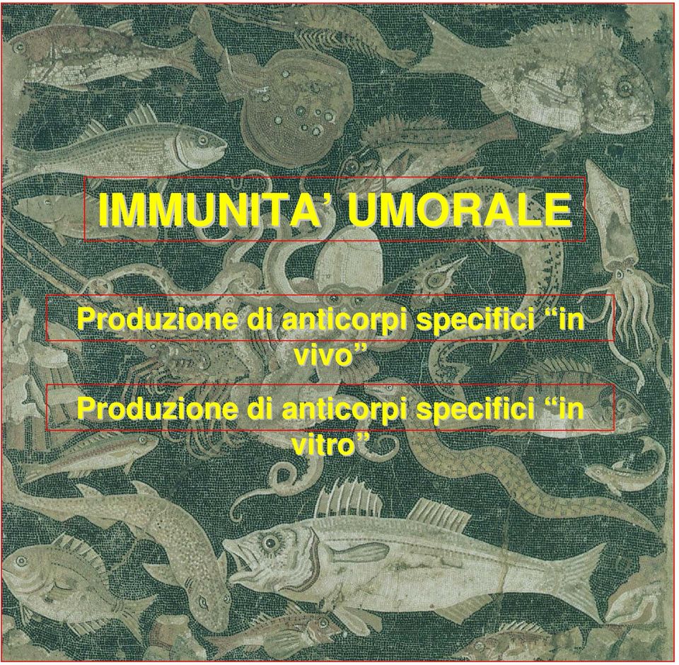 specifici in vivo 