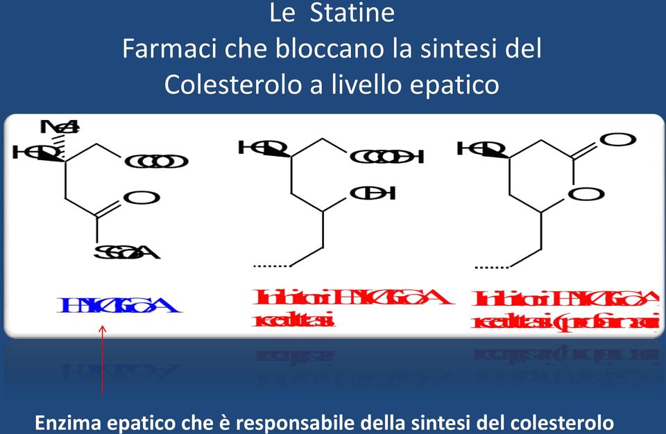 epatico Enzima epatico che è