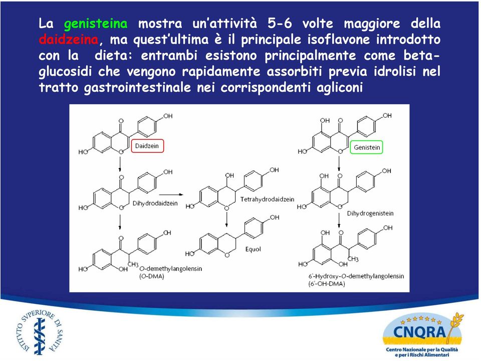 esistono principalmente come betaglucosidi che vengono rapidamente