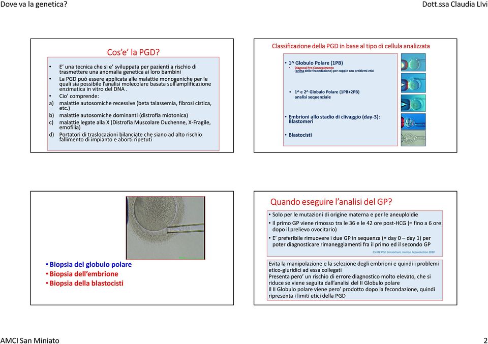 analisi molecolare basata sull amplificazione enzimatica in vitro del DNA. Cio comprende: a) malattie autosomiche recessive (beta talassemia, fibrosi cistica, etc.