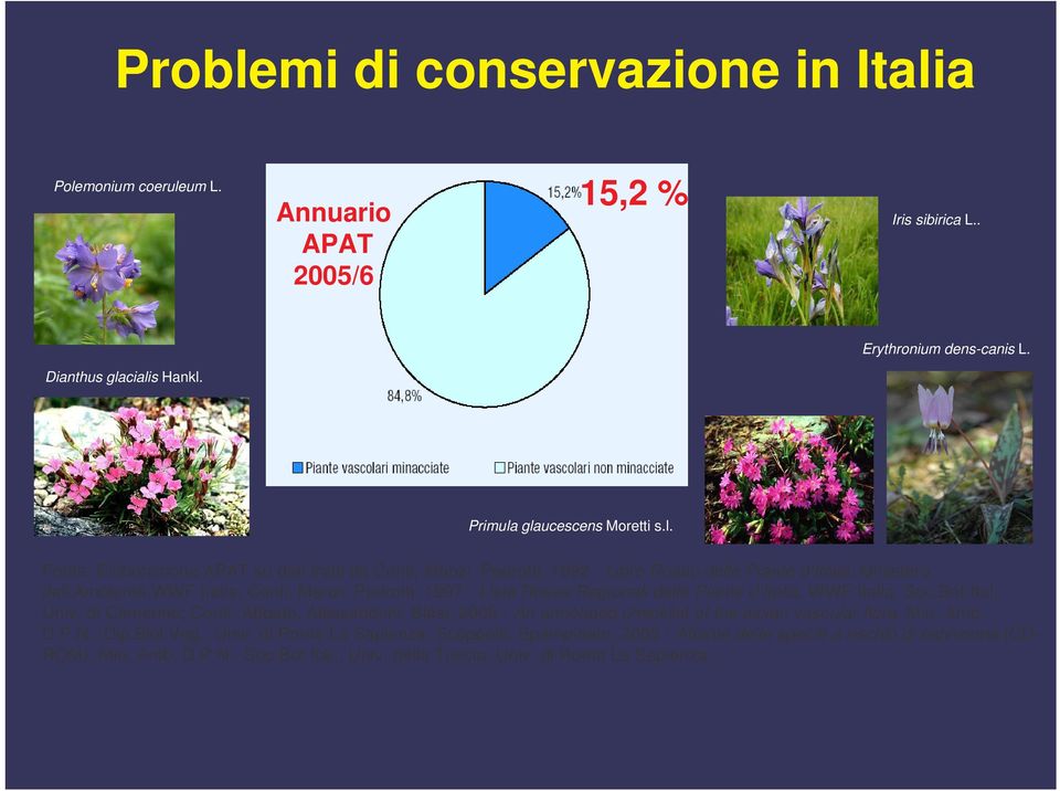 di Camerino; Conti, Abbate, Alessandrini, Blasi, 2005 - An annotated checklist of the italian vascular flora. Min. Amb. D.P.N.; Dip.Biol.Veg., Univ.