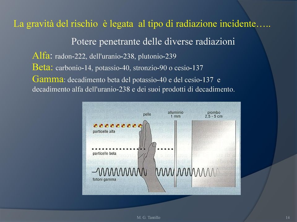 plutonio-239 Beta: carbonio-14, potassio-40, stronzio-90 o cesio-137 Gamma: decadimento