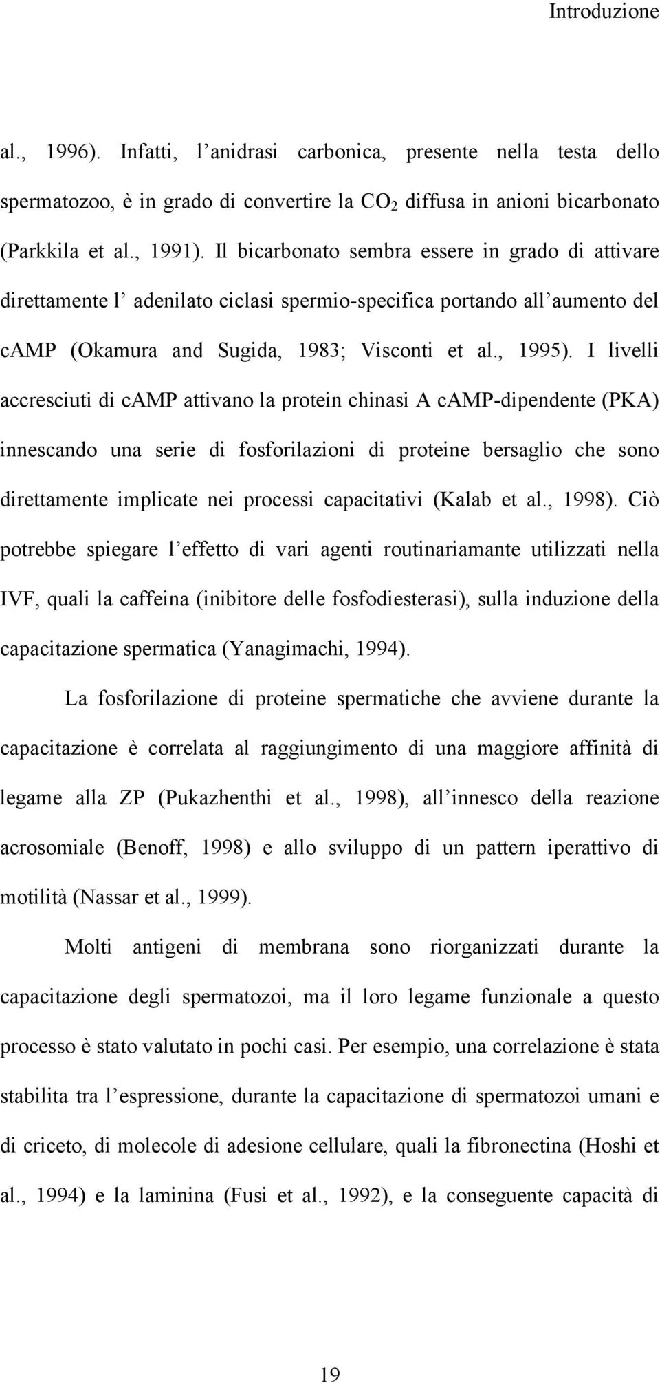 I livelli accresciuti di camp attivano la protein chinasi A camp-dipendente (PKA) innescando una serie di fosforilazioni di proteine bersaglio che sono direttamente implicate nei processi