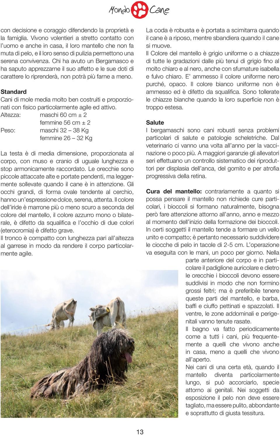 Chi ha avuto un Bergamasco e ha saputo apprezzarne il suo affetto e le sue doti di carattere lo riprenderà, non potrà più farne a meno.