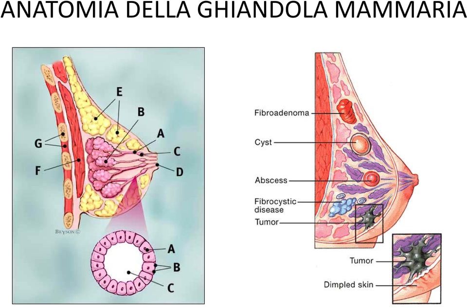 GHIANDOLA