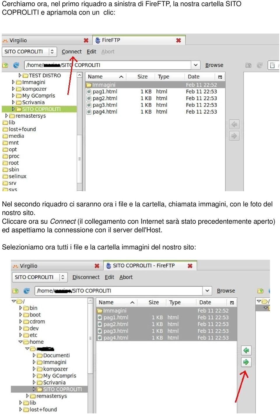 sito. Cliccare ora su Connect (il collegamento con Internet sarà stato precedentemente aperto) ed aspettiamo