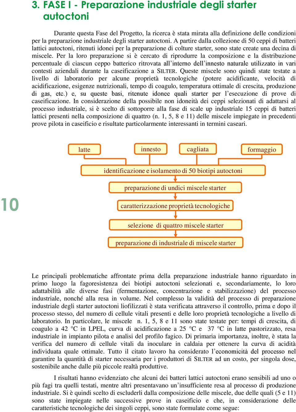 Per la loro preparazione si è cercato di riprodurre la composizione e la distribuzione percentuale di ciascun ceppo batterico ritrovata all interno dell innesto naturale utilizzato in vari contesti