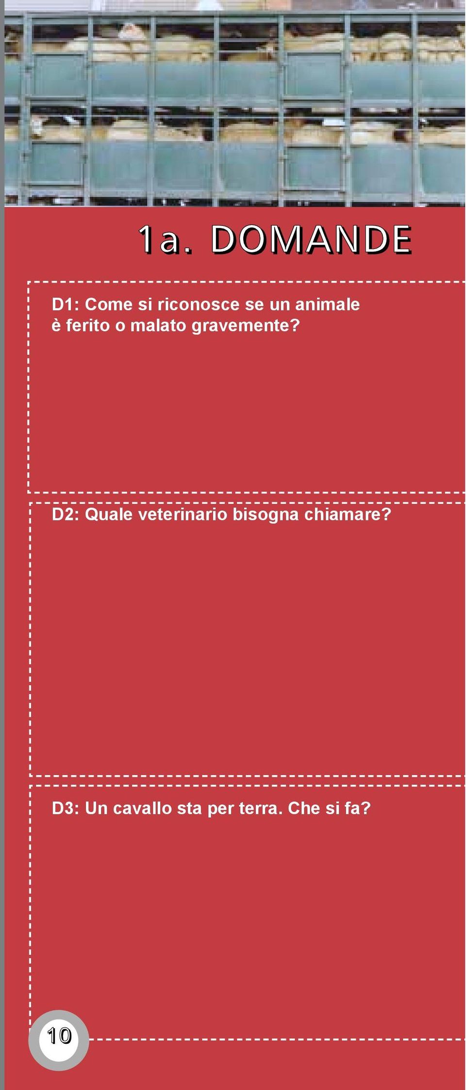 D2: Quale veterinario bisogna chiamare?