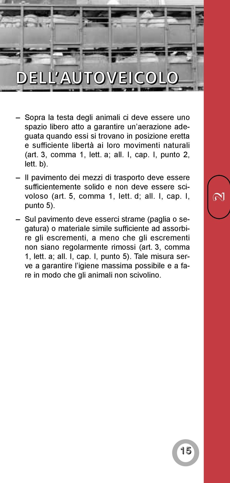 Il pavimento dei mezzi di trasporto deve essere sufficientemente solido e non deve essere scivoloso (art. 5, comma 1, lett. d; all. I, cap. I, punto 5).