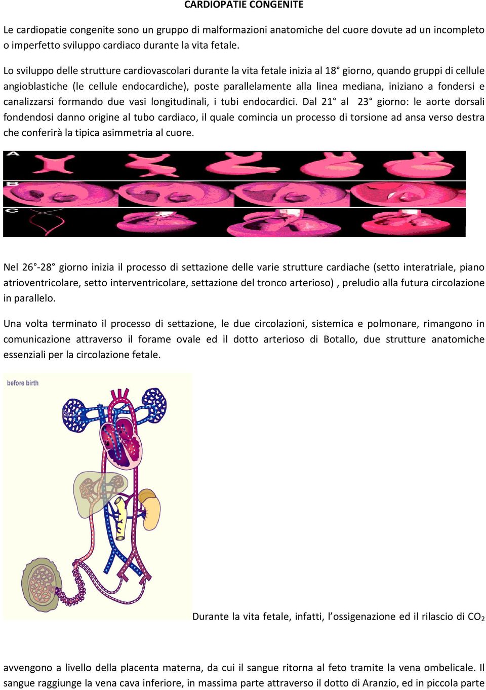 iniziano a fondersi e canalizzarsi formando due vasi longitudinali, i tubi endocardici.