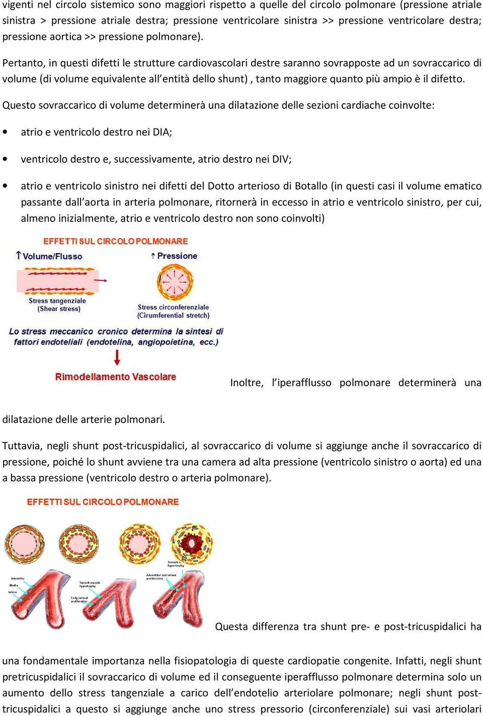 Pertanto, in questi difetti le strutture cardiovascolari destre saranno sovrapposte ad un sovraccarico di volume (di volume equivalente all entità dello shunt), tanto maggiore quanto più ampio è il