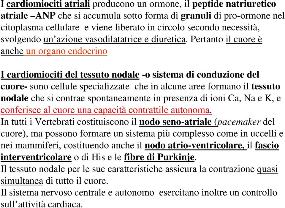 Pertanto il cuore è anche un organo endocrino I cardiomiociti del tessuto nodale -o sistema di conduzione del cuore- sono cellule specializzate che in alcune aree formano il tessuto nodale che si