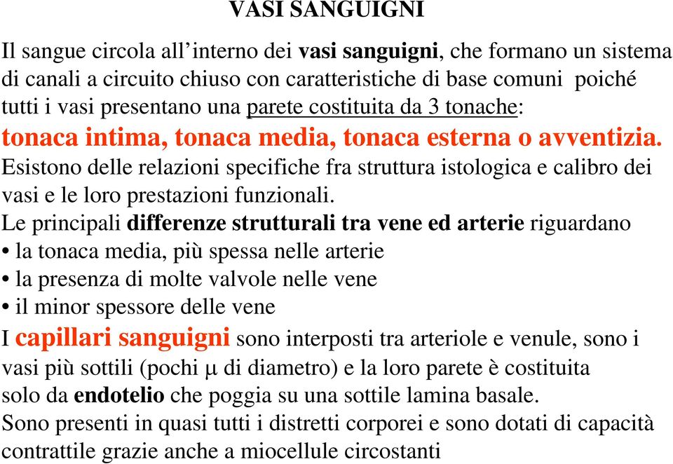 Le principali differenze strutturali tra vene ed arterie riguardano la tonaca media, più spessa nelle arterie la presenza di molte valvole nelle vene il minor spessore delle vene I capillari