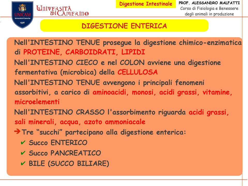 assorbitivi, a carico di aminoacidi, monosi, acidi grassi, vitamine, microelementi Nell'INTESTINO CRASSO l'assorbimento riguarda acidi