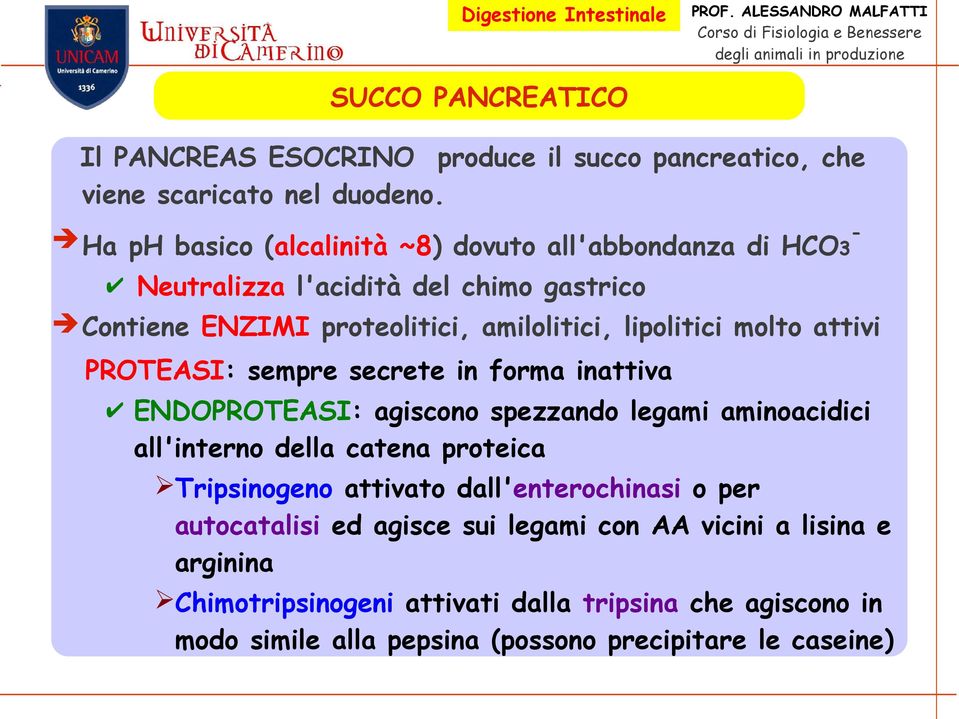 molto attivi PROTEASI: sempre secrete in forma inattiva ENDOPROTEASI: agiscono spezzando legami aminoacidici all'interno della catena proteica Tripsinogeno