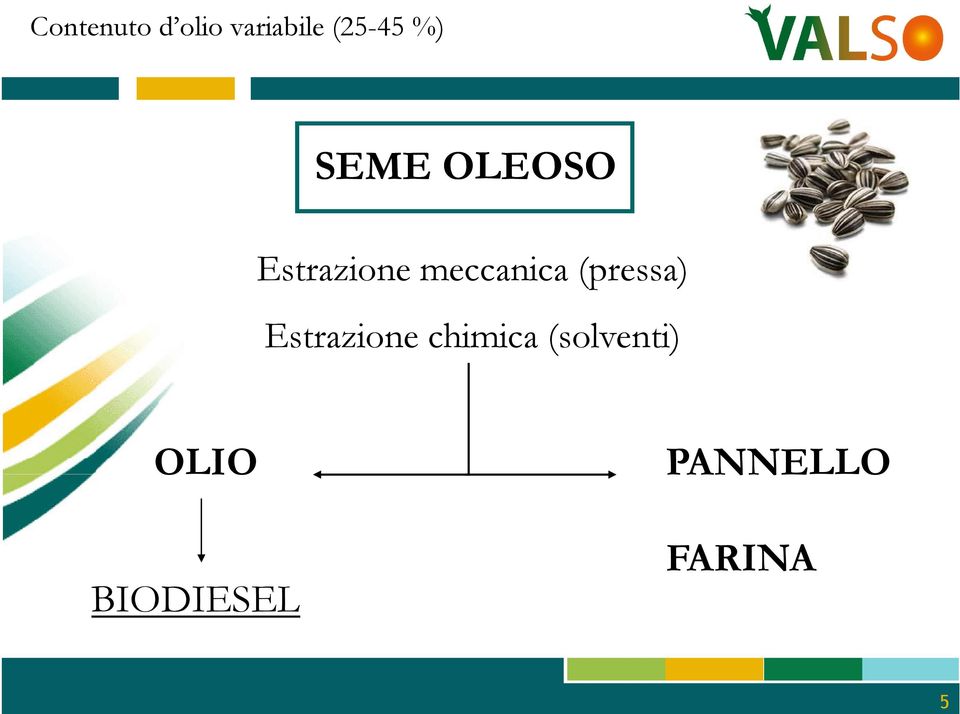 meccanica (pressa) Estrazione