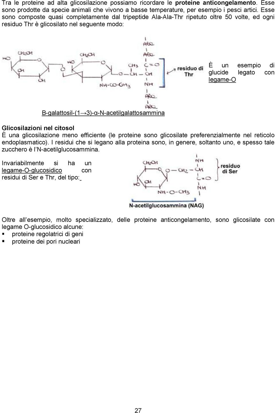 Β-galattosil-(1 3)-α-N-acetilgalattosammina Glicosilazioni nel citosol È una glicosilazione meno efficiente (le proteine sono glicosilate preferenzialmente nel reticolo endoplasmatico).