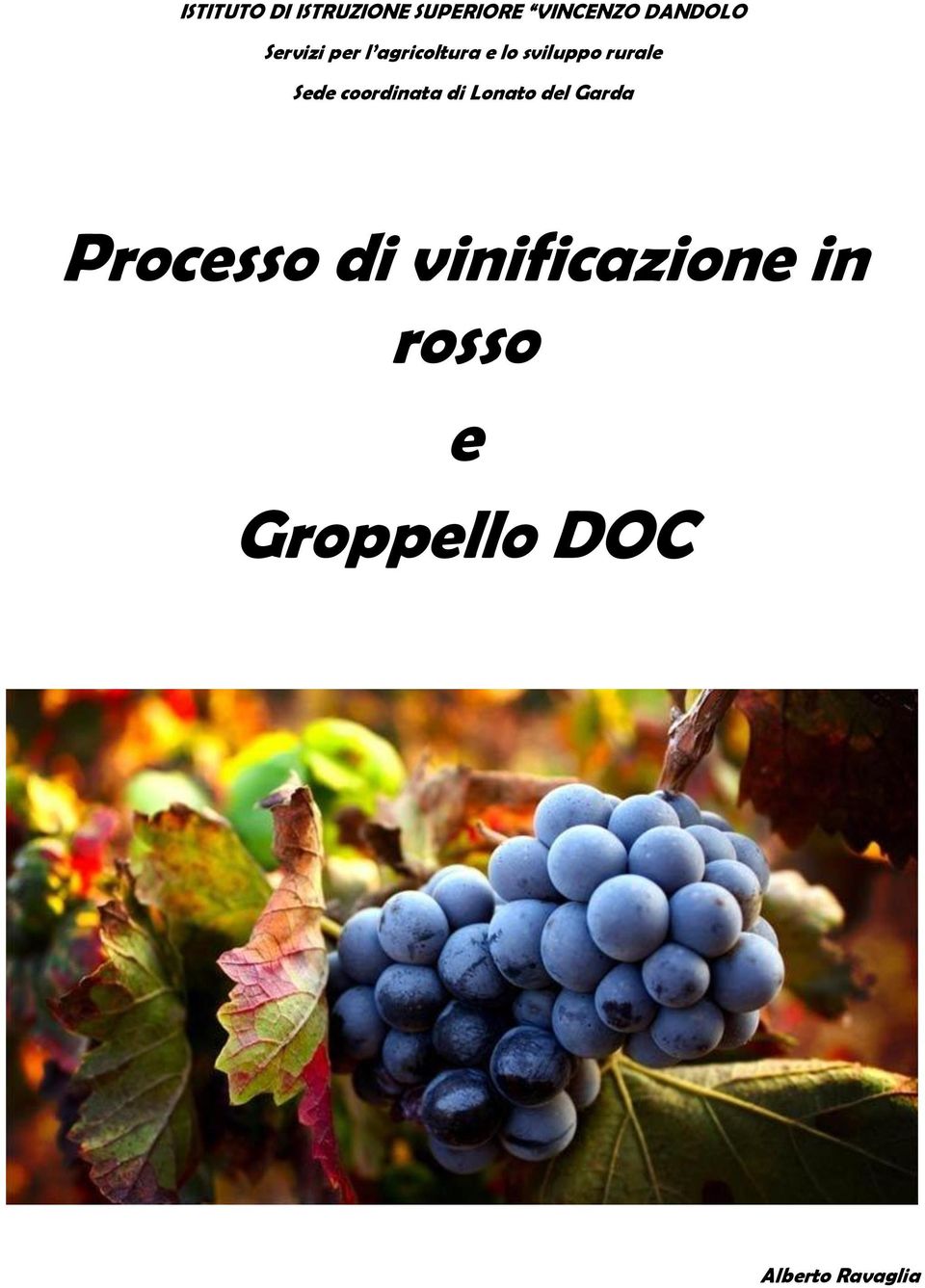 Sede coordinata di Lonato del Garda Processo di