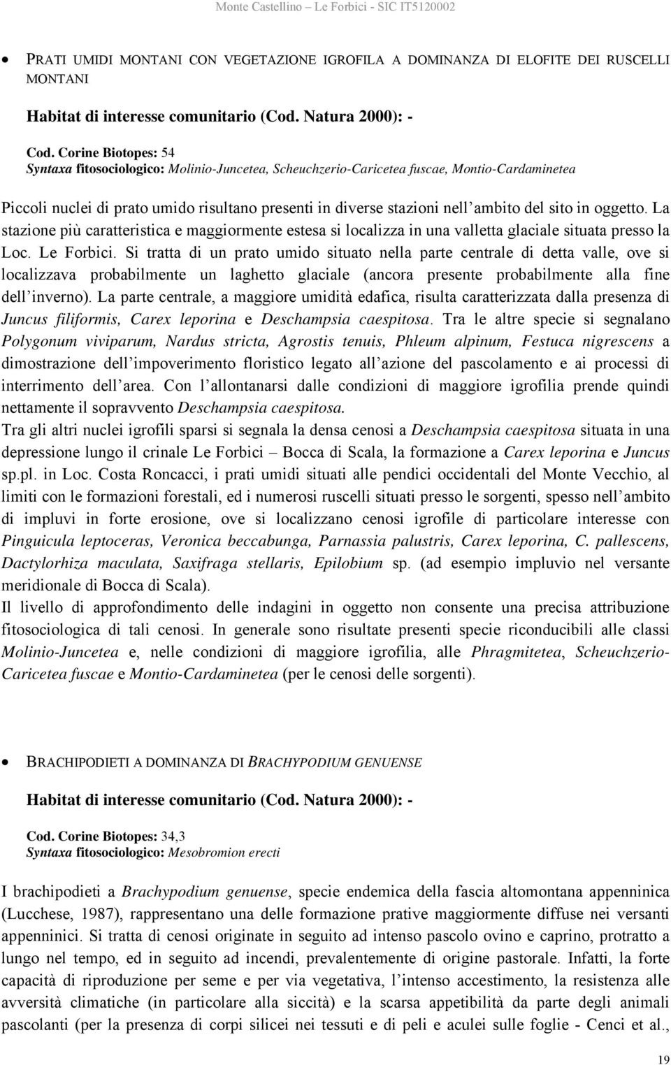 sito in oggetto. La stazione più caratteristica e maggiormente estesa si localizza in una valletta glaciale situata presso la Loc. Le Forbici.