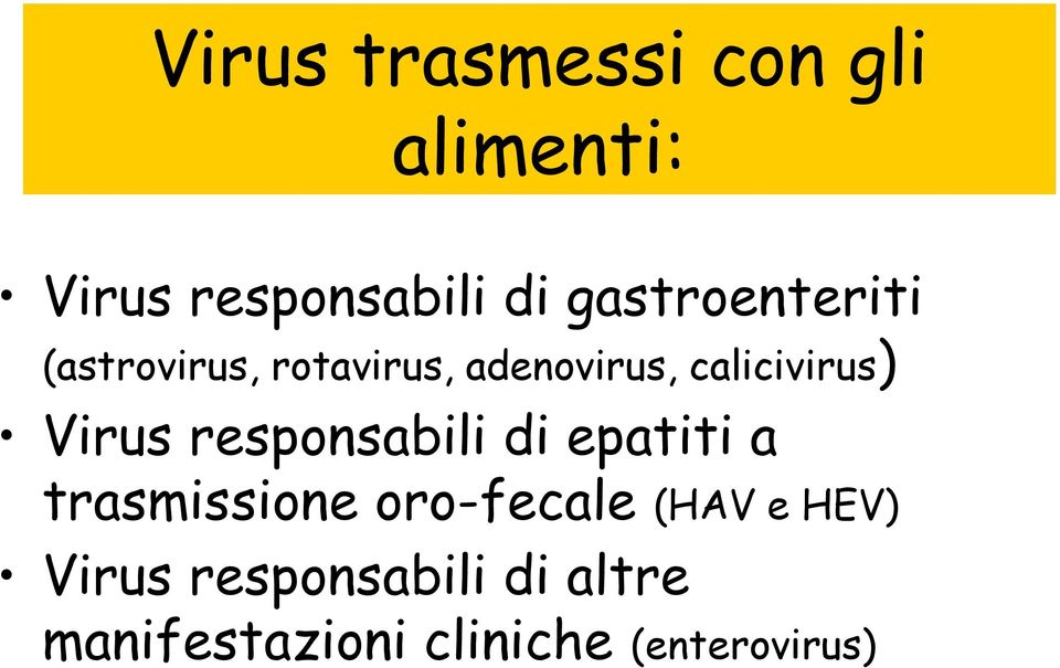 Virus responsabili di epatiti a trasmissione oro-fecale (HAV e