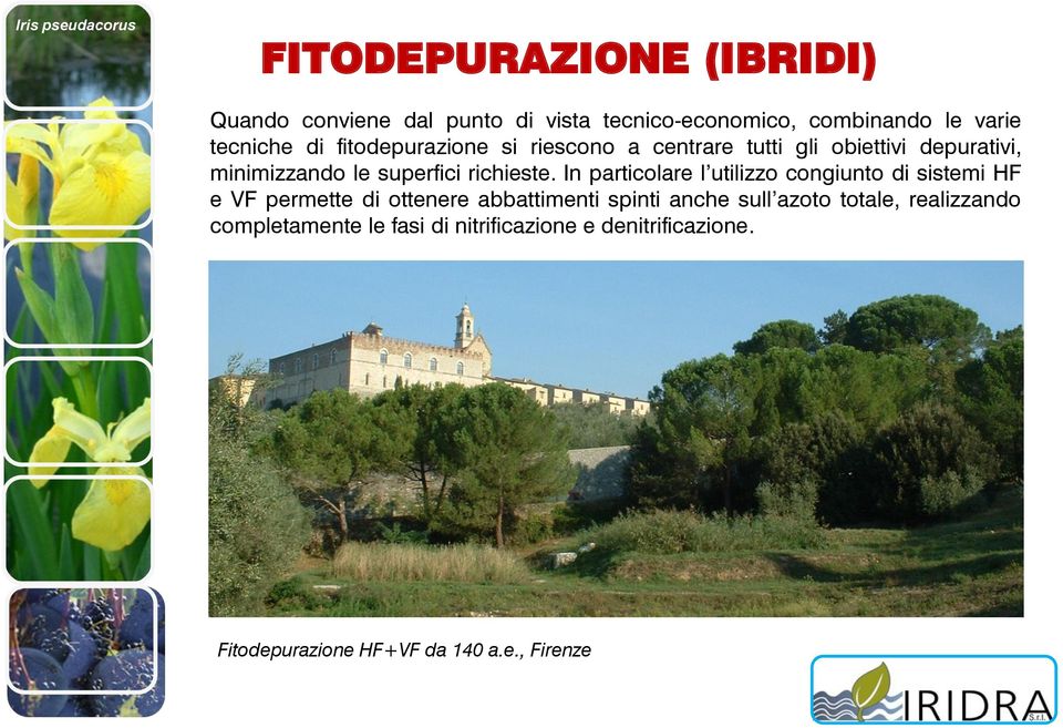 In particolare l utilizzo congiunto di sistemi HF e VF permette di ottenere abbattimenti spinti anche sull azoto