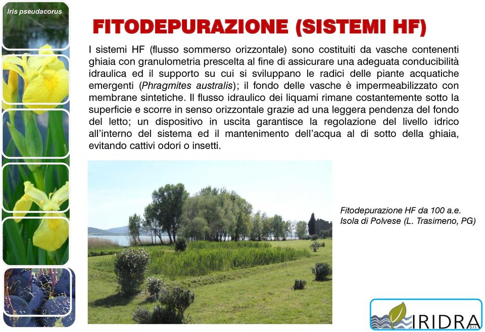 Il flusso idraulico dei liquami rimane costantemente sotto la superficie e scorre in senso orizzontale grazie ad una leggera pendenza del fondo del letto; un dispositivo in uscita garantisce la