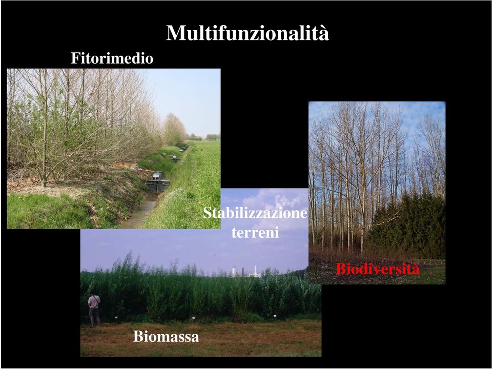 Stabilizzazione