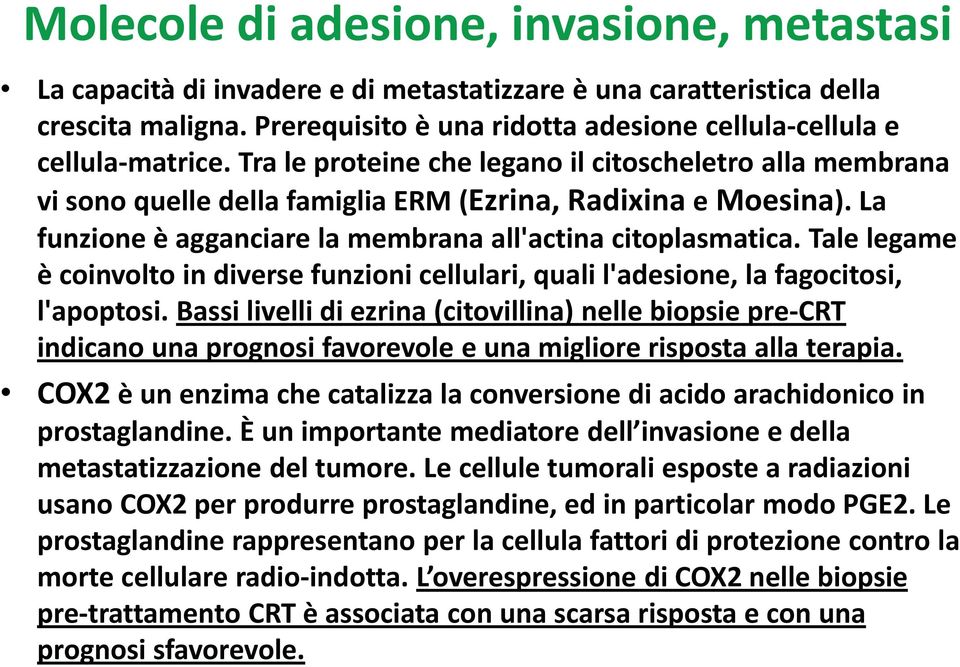 La funzione è agganciare la membrana all'actina citoplasmatica. Tale legame è coinvolto in diverse funzioni cellulari, quali l'adesione, la fagocitosi, l'apoptosi.