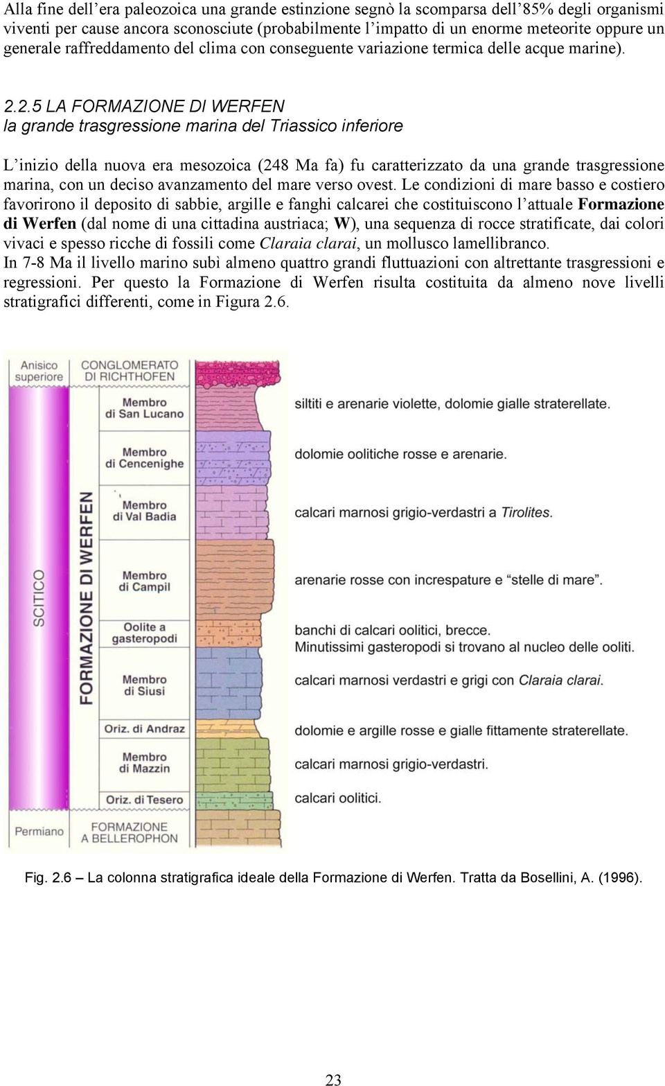 2.5 LA FORMAZIONE DI WERFEN la grande trasgressione marina del Triassico inferiore L inizio della nuova era mesozoica (248 Ma fa) fu caratterizzato da una grande trasgressione marina, con un deciso