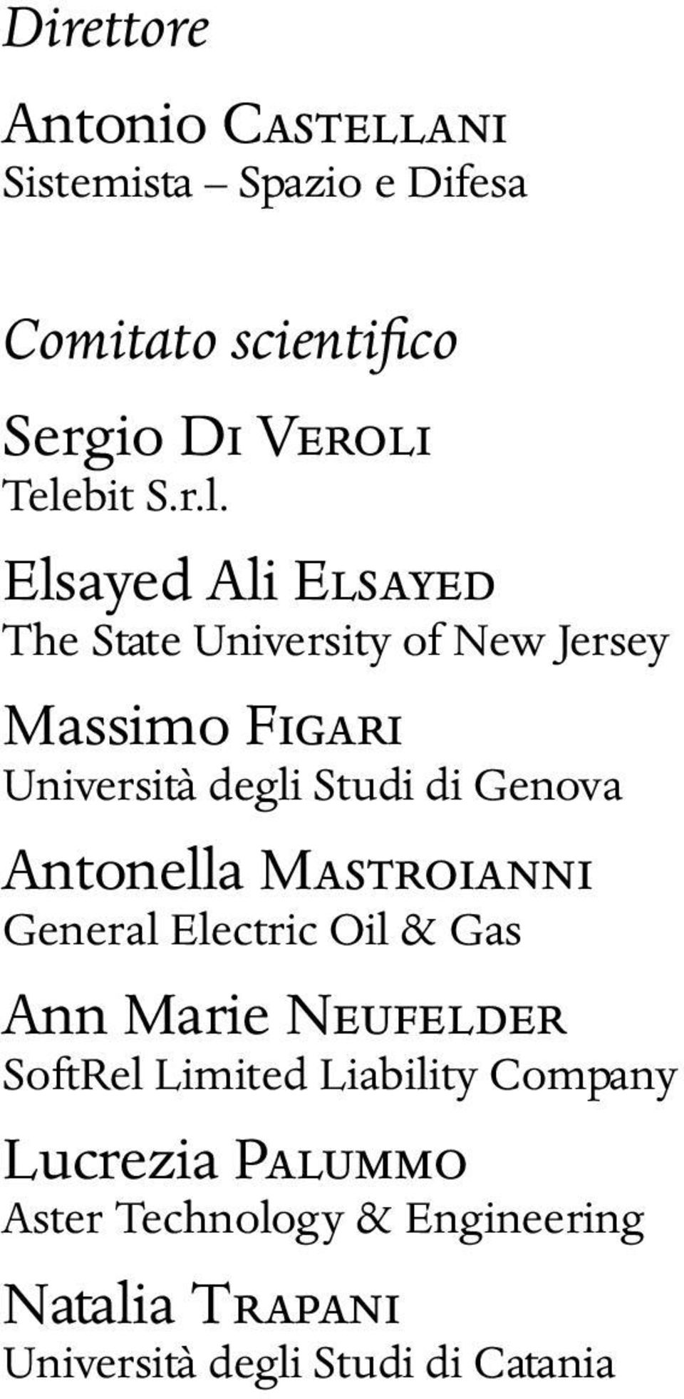 Elsayed Ali ELSAYED The State University of New Jersey Massimo FIGARI Università degli Studi di Genova