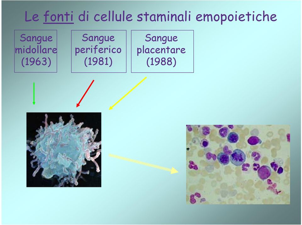 Sangue midollare (1963)