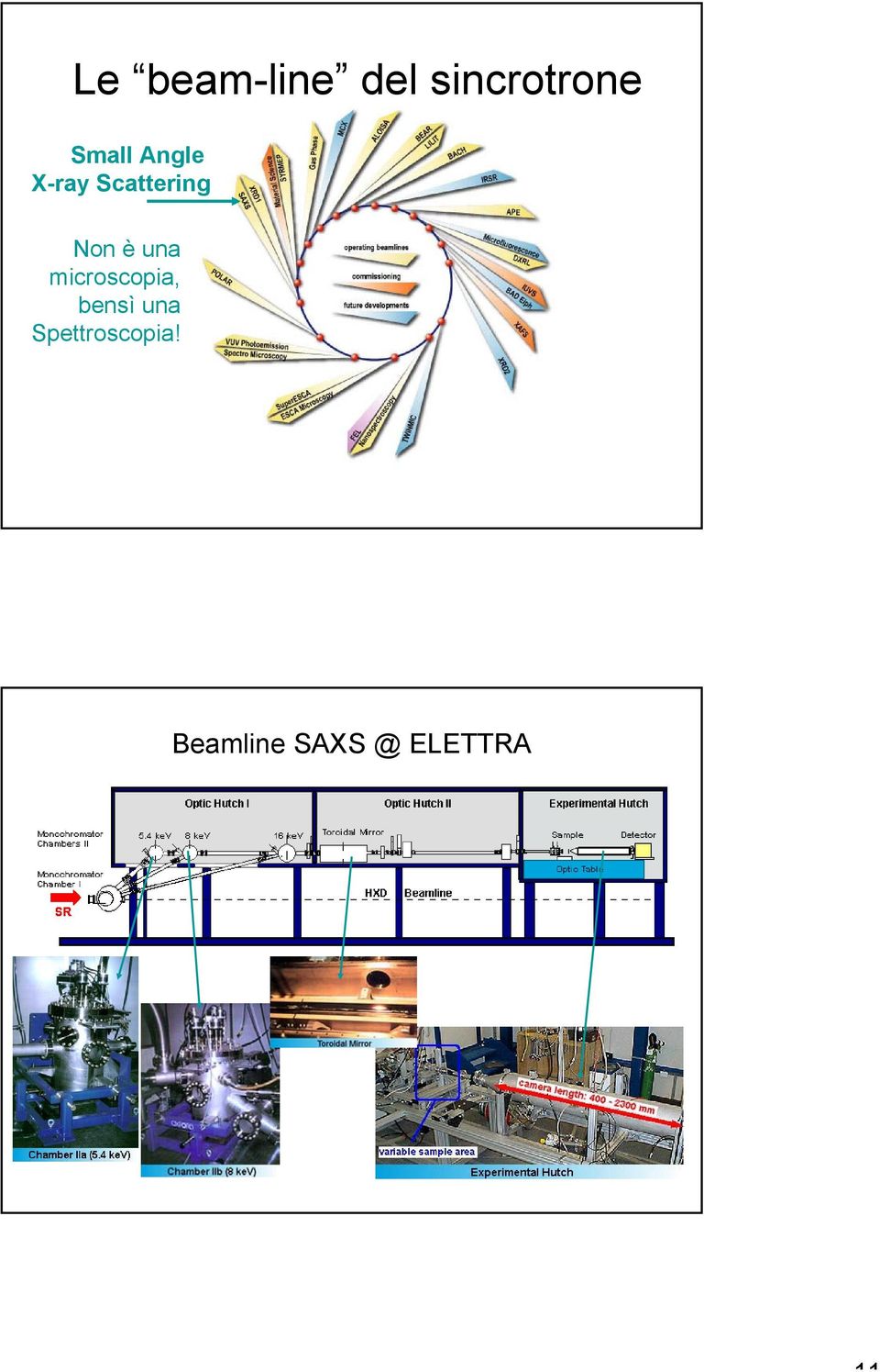 è una microscopia, bensì una