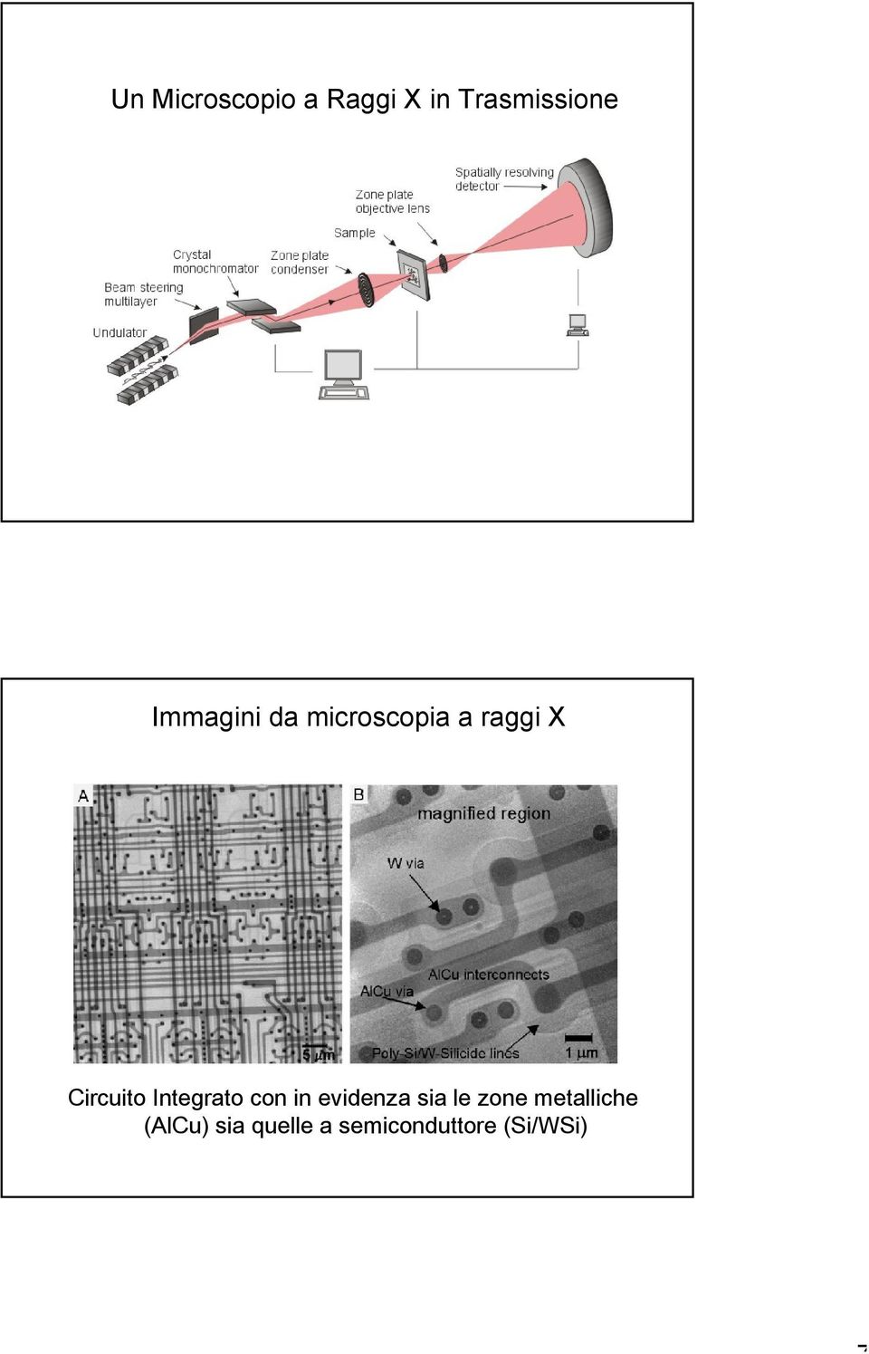 Integrato con in evidenza sia le zone