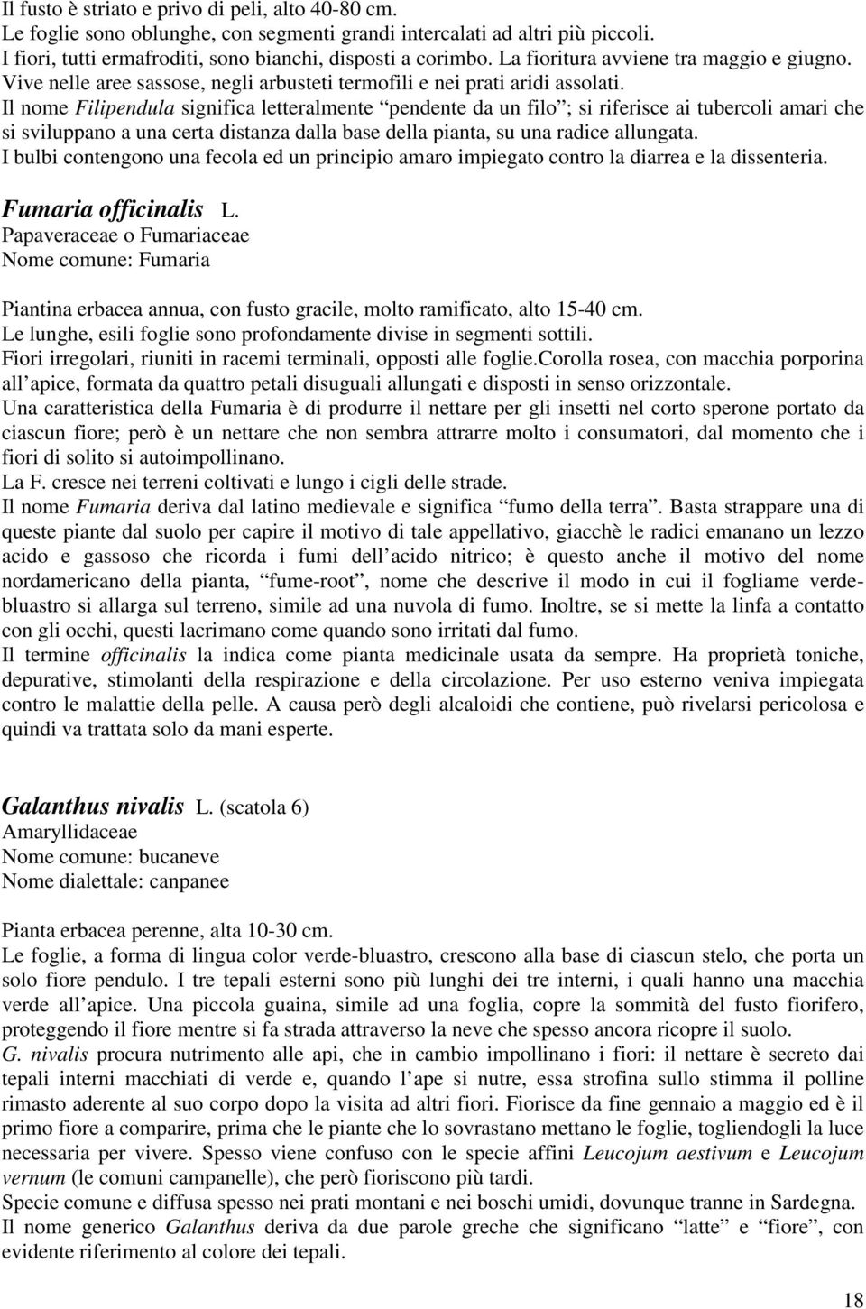 Il nome Filipendula significa letteralmente pendente da un filo ; si riferisce ai tubercoli amari che si sviluppano a una certa distanza dalla base della pianta, su una radice allungata.