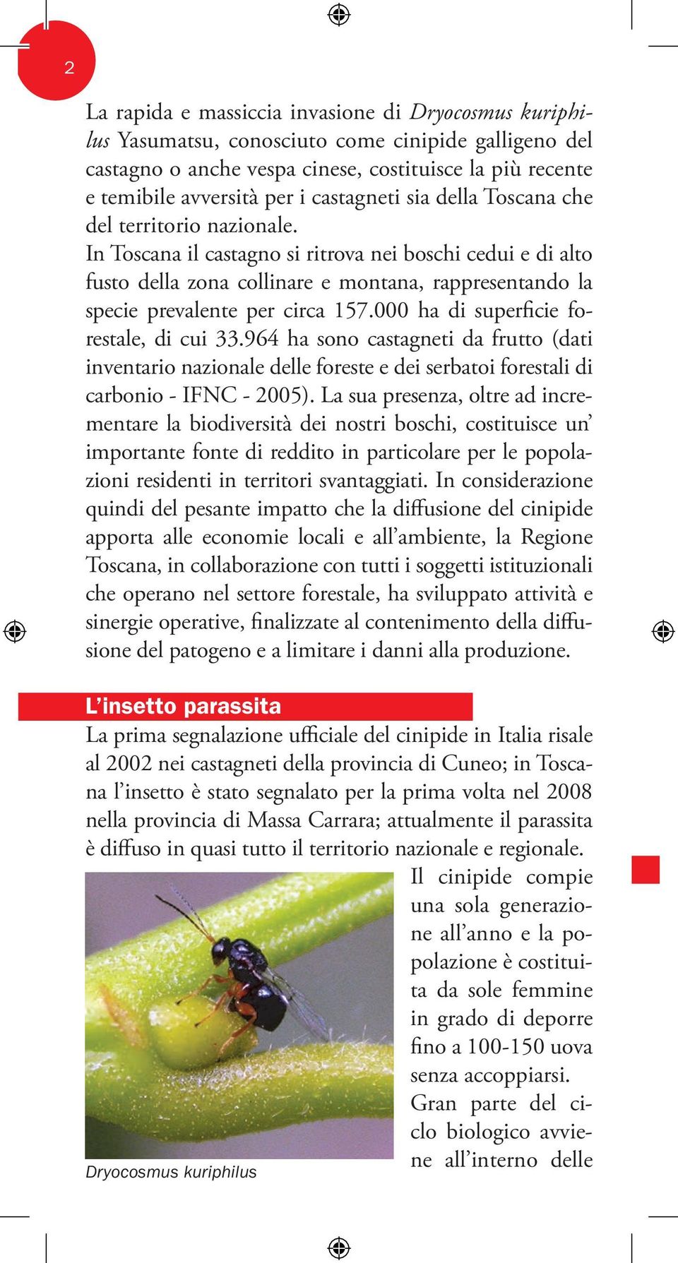 In Toscana il castagno si ritrova nei boschi cedui e di alto fusto della zona collinare e montana, rappresentando la specie prevalente per circa 157.000 ha di superficie forestale, di cui 33.