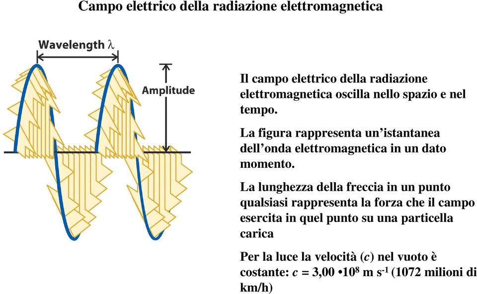 La lunghezza della freccia in un punto qualsiasi rappresenta la forza che il campo esercita in quel punto su