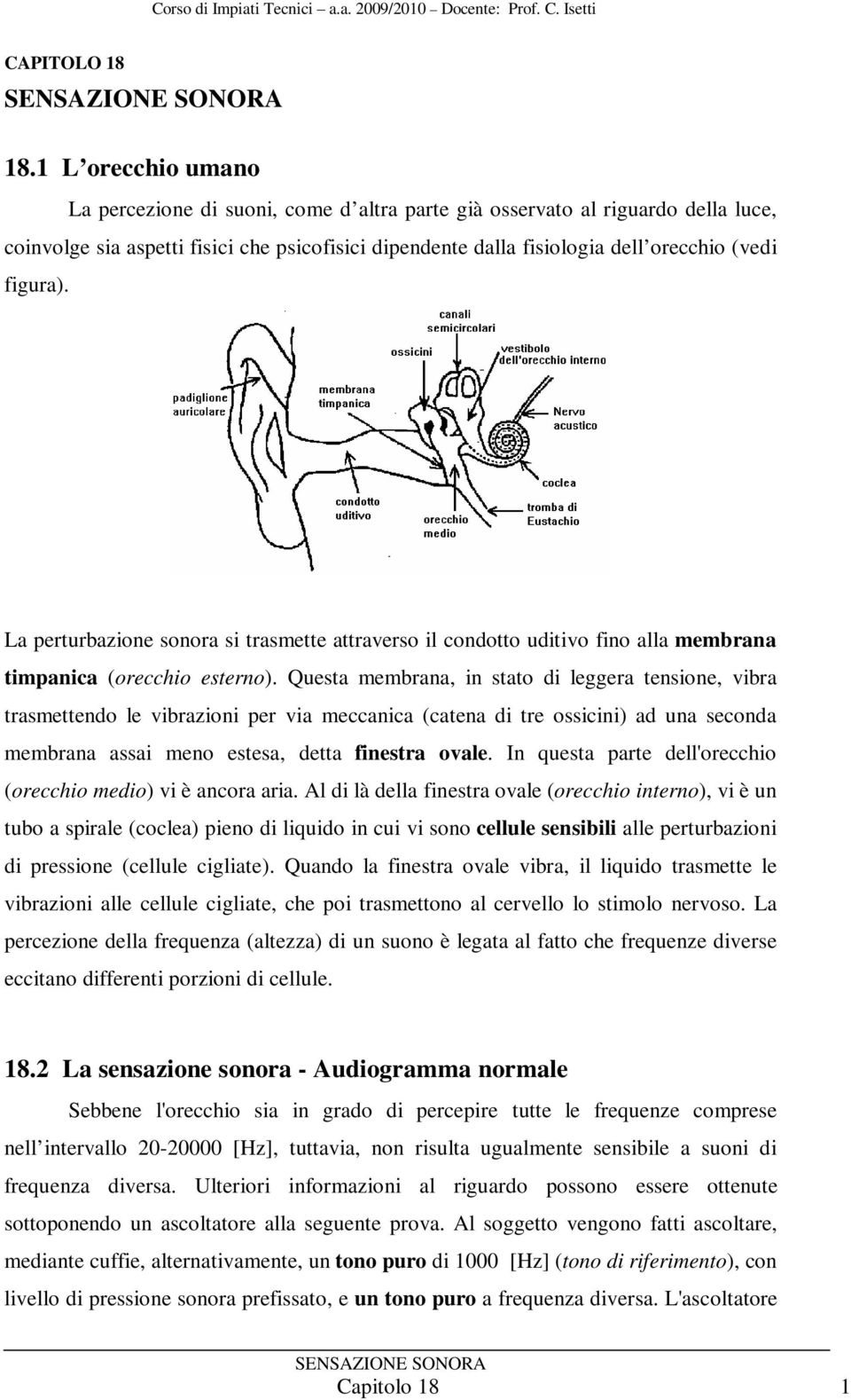 La erturbazione sonora si trasmette attraverso il condotto uditivo fino alla membrana timanica (orecchio esterno).