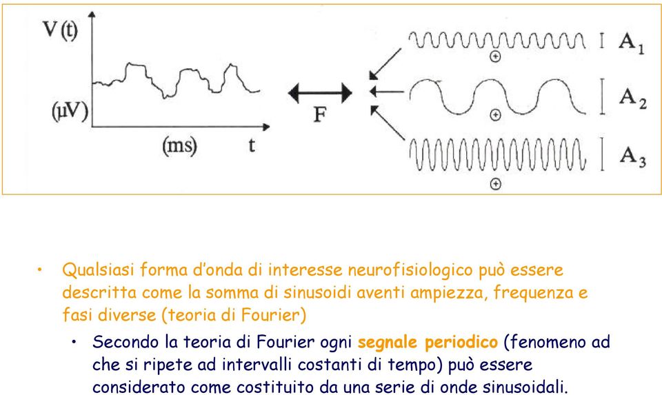 Secondo la teoria di Fourier ogni segnale periodico (fenomeno ad che si ripete ad